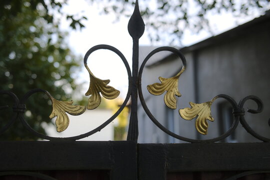 Decorative iron gate with gilded leaves in a garden setting.