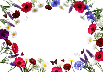 Vibrant oval wreath of wildflowers and greenery isolated on transparent background