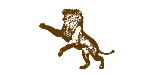 Vintage lion illustration in sketch style, showing majestic stance of a wild predator in monochrome vector art. © Iron mystogan 