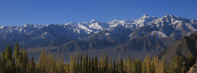 Golden autumn day in Leh, Ladakh, India.