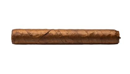 A thick, tightly rolled cigar made of dark brown tobacco leaf, positioned horizontally and isolated on a clean, neutral gray background.