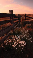 A weathered wooden fence winds through a field of wildflowers at sunset, bathed in warm hues.