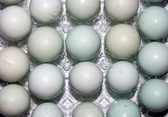 Quail eggs are a dietary food product.Quail eggs background.Quail eggs in a package.Quail eggs.
