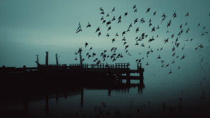 flock-of-birds-over-pier-at-dawn-moody-coastal-minimalism