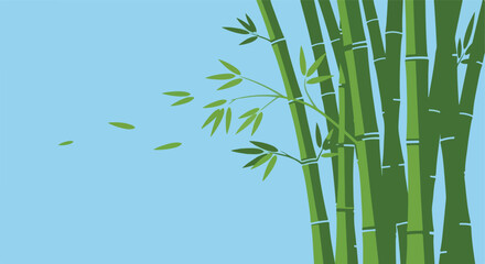 Naklejka premium Vector illustration of bamboo