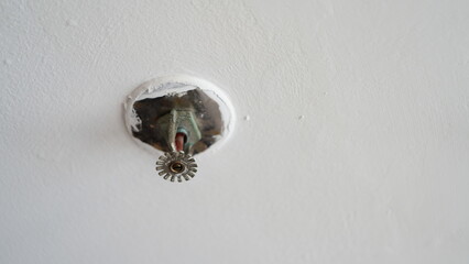 Ceiling-mounted fire sprinkler head on a white background, representing reliable fire prevention, safety equipment, and emergency protection systems for commercial and residential buildings.