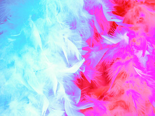 colorful feathers background