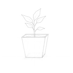 Pencil Sketch of a Small Plant in a Square Pot drawing seedling