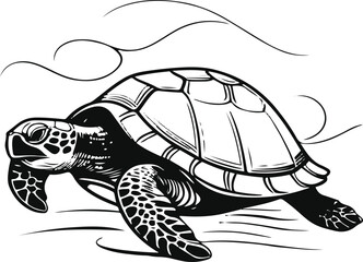 Modern abstract turtle illustration, artistic flowing lines, elegant composition, vector on white 1