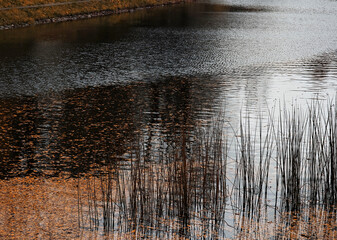 Dramatic water surface at autumn park landscape backdrop