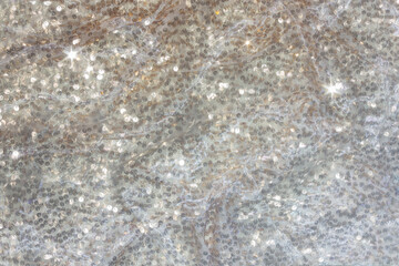 The background of the fabric is decorated with a scattering of silver and gold sequins creating an abstract shimmer.