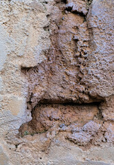 Cracked Concrete Wall with Exposed Old Brick