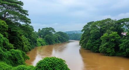 Wide Muddy River Flowing Through a Dense Jungle. Aerial Perspective of a Winding River in the Rainforest. Serene Jungle Landscape with Overcast Sky and River.