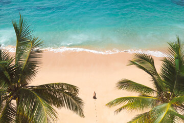 Woman Walking on Tropical Beach from Above
