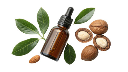 Bottle of macadamia oil with nuts and leaves isolated on transparent background