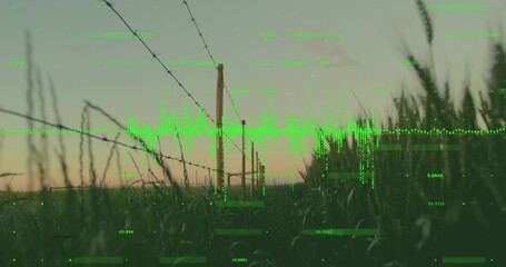 Projecting neon green waveform overlay onto wooden fence post in tall grassland, with barbed wire