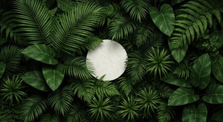 Single light flower petal resting on lush green tropical leaves overhead view