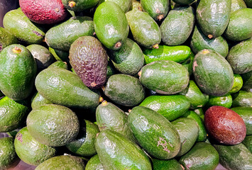 An overhead view of a large pile of fresh avocados in varying degrees of ripeness at a farmers' market in Riga, Latvia.