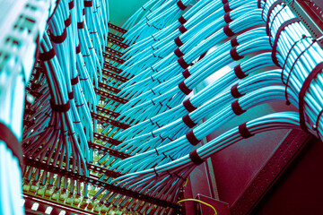 Colorful Fiber Optic Cables in Server Room