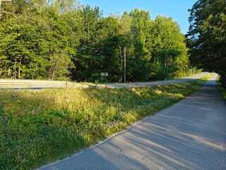 road and path in the forest
