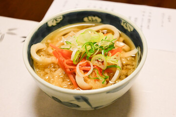 Traditional Japanese Cuisine - Udon