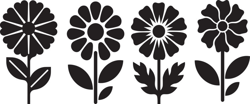 A marigold of black and white flowers and leaves for vector illustration and design elements
