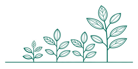 Vector illustration showing the growth of four plants from small to large with green outlines on white background