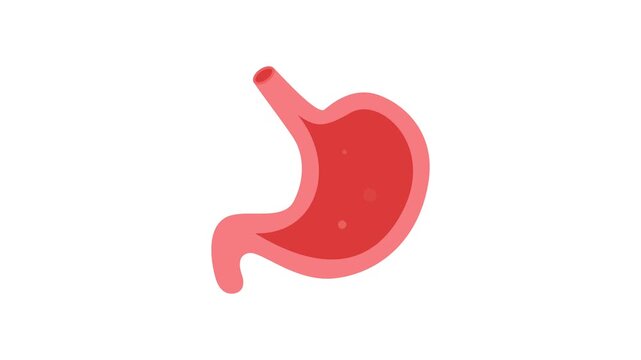 Stomach animation with internal stomach movement and gas bubbles on white background