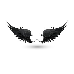 Fototapeta premium Wings black