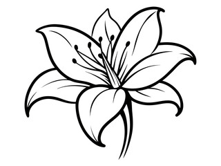 Vector illustration of lily