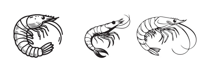 Shrimp animal set, shrimp silhouette, shrimp fish art icon, shrimp seafood icon for restaurant menu, vector Illustration EPS 10.