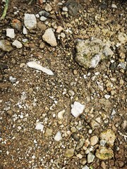 Top view of rocky soil with mixed pebbles and stones, ideal for geology, natural textures, and...
