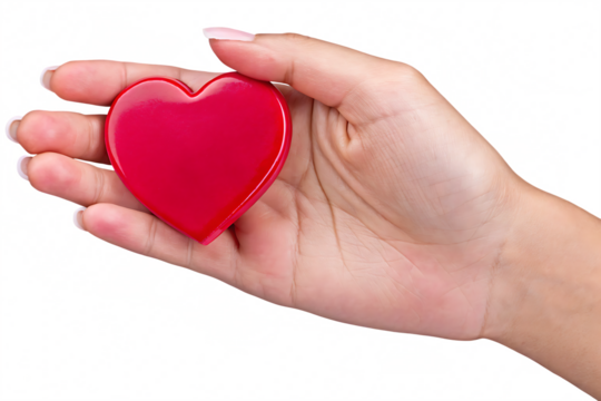 holding red heart for love wedding or valentine isolated on white background png, ai generated.