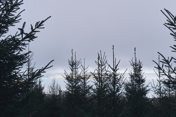 Landscape by the Sulustaddalen Valley, Toten, Norway, October 2025.
