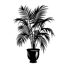 Potted plant with Majesty Palm leaves, silhouette style, on white background. Concept of nature and decor