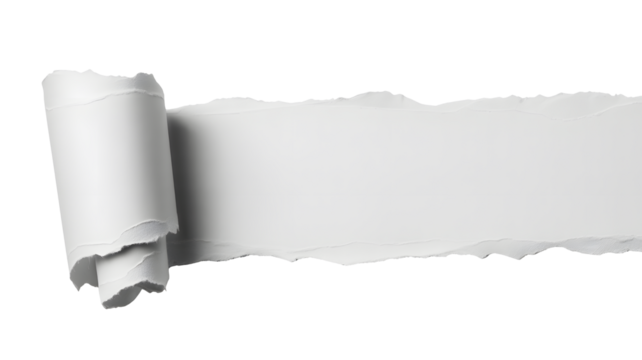 Torn white paper strip with rolled edge isolated on transparent background