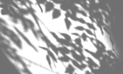 Intricate Leaf and Branch Shadow Overlay on a Bright White Background Creating a Detailed Nature Texture