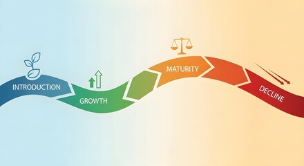 Business Life Cycle Introduction Growth Maturity Decline Infographic Concept.