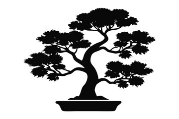 Elegant Bonsai Silhouette: A graceful bonsai tree, artfully sculpted and presented in a decorative pot, stands as a testament to the art of patience and the beauty of miniature landscapes.