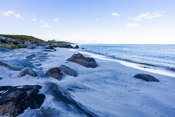 Autumn landscape in Lofoten Islands, Northern Norway, featuring colorful foliage, and a peaceful fjord.
