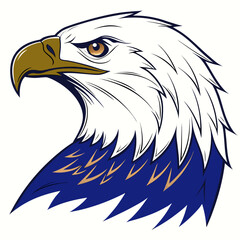 Fototapeta premium A powerful portrait of an American bald eagle head, this wild bird of prey is a wildlife symbol of freedom