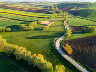 Aerial view of winding road in Ponidzie region, surrounded by picturesque farmlands (crop fields) during sunrise, Poland
