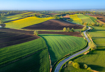 Aerial view of winding road in Ponidzie region, surrounded by picturesque farmlands (crop fields) during sunrise, Poland