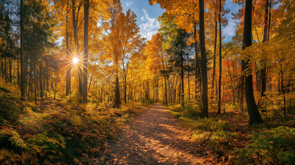 Obraz premium Sunlit path in a park before sunset