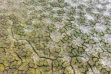 Cracked dry earth or mud environmental background texture pattern conceptual of drought and natural disaster