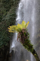 Jardin extraordinaire (Nantes)