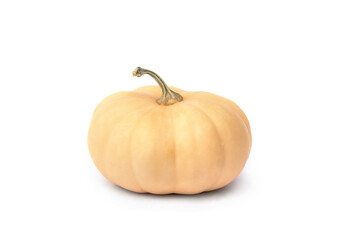 Whole muscat pumpkin on white background with copy space