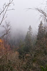 Landscape by the Sulustaddalen Valley, Toten, Norway, October 2025.