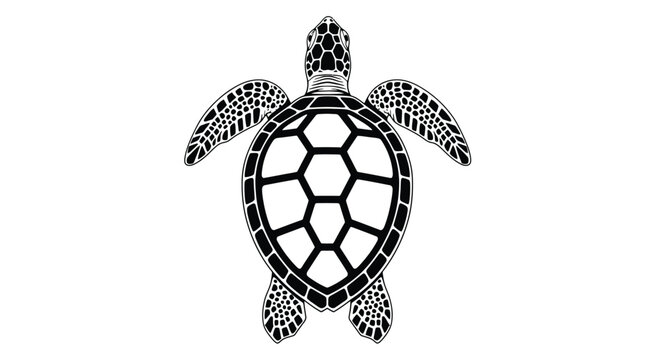 A black and white illustration of a sea turtle viewed from above on a white background.