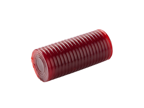 Jellied Cranberry Sauce shaped just like the can
